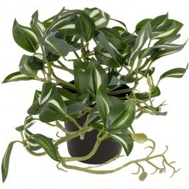 Artificial Plant Zebrina 20960 D45x22cm Green GloboStar GREEN