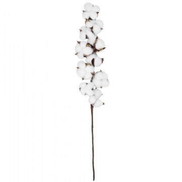 Τεχνητό Κλαδί Cotton 20559 55cm Brown-White GloboStar