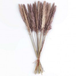 Αποξηραμένο Μπουκέτο Pampas 21215 50cm (Ακαθόριστος Αριθμός Τμχ) Brown GloboStar BROWN