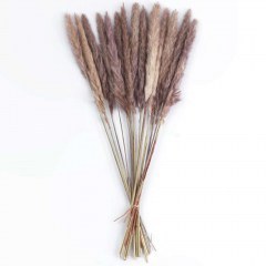 &Alpha;&pi;&omicron;&xi;&eta;&rho;&alpha;&mu;έ&nu;&omicron; &Mu;&pi;&omicron;&upsilon;&kappa;έ&tau;&omicron; Pampas 21215 50cm (&Alpha;&kappa;&alpha;&theta;ό&rho;&iota;&sigma;&tau;&omicron;&sigmaf; &Alpha;&rho;&iota;&theta;&mu;ό&sigmaf; &Tau;&mu;&chi;) Brown GloboStar