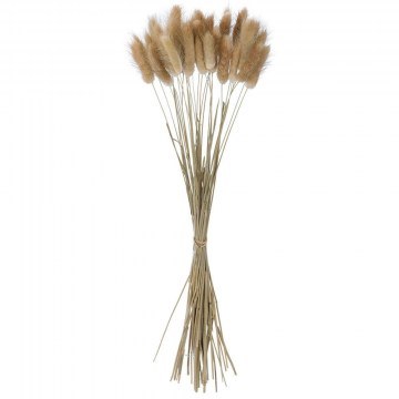 Dried Bouquet Wheat 21219 50cm (Indefinite Number of Pcs) Beige GloboStar