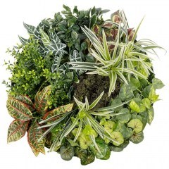 Συνθετικό Διακοσμητικό Πάνελ Φυλλωσιάς Various Plants 20691 60x20x60cm Multi-Green GloboStar