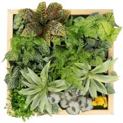 Συνθετικό Διακοσμητικό Πάνελ Φυλλωσιάς Various Plants 20641 60x32x60cm Multi-Green GloboStar