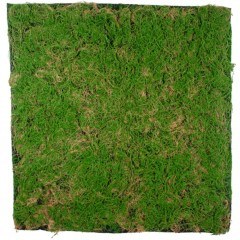 Συνθετικό Διακοσμητικό Πάνελ Φυλλωσιάς Βρύα 20144 100x3x100cm Green-Beige GloboStar