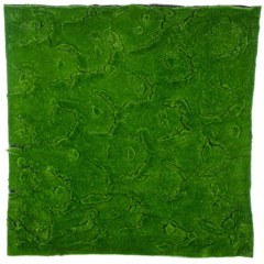 Συνθετικό Διακοσμητικό Πάνελ Φυλλωσιάς Bryophyta 20145 100x3x100cm Green GloboStar