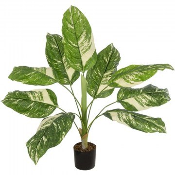 Artificial Plant Dieffenbachia 20941 80x80x90cm Green-White GloboStar