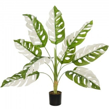 Τεχνητό Φυτό Albino Monstera 20938 90x90x90cm White-Green GloboStar