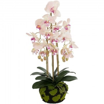 Τεχνητό Λουλούδι Butterfly Orchid Bonsai 21400 34x27x65cm Pink GloboStar
