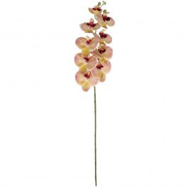 Artificial Flower Orchid 21405 95cm Pink-Salmon GloboStar SALMON