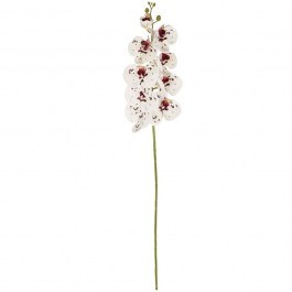 Artificial Flower Orchid 21406 95cm White GloboStar WHITE
