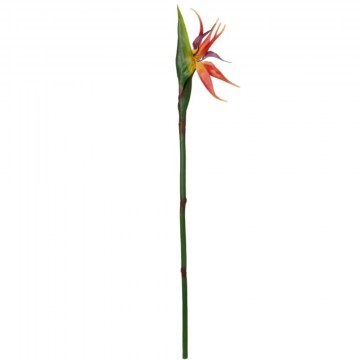 Τεχνητό Λουλούδι Stelizia 21399 82cm Orange GloboStar