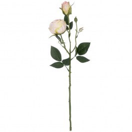 Τεχνητό Λουλούδι Damask Climbing Rose 21198 55cm Champagne GloboStar CHAMPAGNE