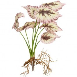 Τεχνητό Φυτό Begonia 21489 25x14x35cm Multi-White GloboStar MULTI-WHITE