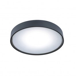 Ceiling Light Ibiza 4298800 LED 10W 3000K 770Lm 16x4,8cm Anthracite Viokef ANTHRACITE
