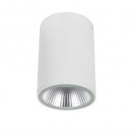 Ceiling Light - Spot Dermot 4334800 10W 3000K 900lm 9x13cm White Viokef WHITE