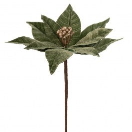 Κλαδί Πικ Αλεξανδρινό 86331 23x35cm Green GREEN