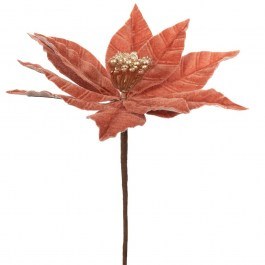 Κλαδί Πικ Αλεξανδρινό 86334 23x35cm Coral CORAL