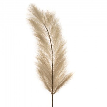 Φύλλο Φτερά Γίγας Κυρτό 85933 150cm Brown