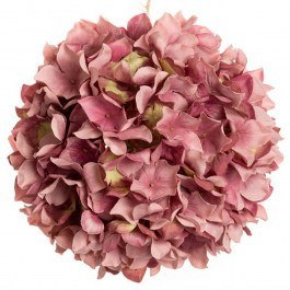 Ορτανσία Μπάλα 85928 Dark Pink DARK PINK