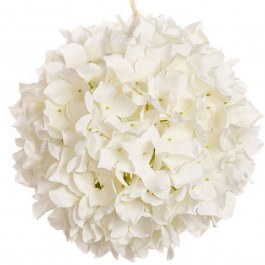 Ορτανσία Μπάλα 85926 White WHITE