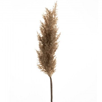 Κλαδί Pampas 84721 100cm Natural-Brown