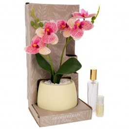 Τεχνητό Φυτό Σε Κασπώ Lilium Με Αρωματικό Jasmine 92845 14x14x30cm Multi-Pink MULTI-PINK