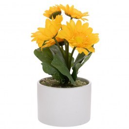 Ζέρμπερα Σε Κεραμικό Γλαστράκι 92674 20cm Yellow YELLOW