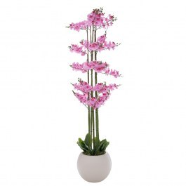 Ορχιδέα Phalaenopsis 92665 Σε Κεραμικό Κασπώ 190cm Pink PINK