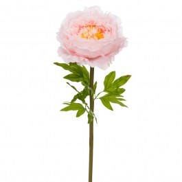 Κλαδί Γίγας Με Παιώνια 92898 38x38x115cm Light Pink LIGHT PINK