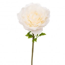Κλαδί Γίγας Με Τριαντάφυλλο 50x50x130cm Cream CREAM