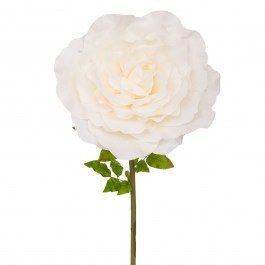 Κλαδί Γίγας Με Τριαντάφυλλο 92891 70Χ70Χ150cm Cream CREAM