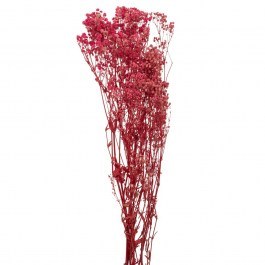Μπουκέτο Γυψοφύλλη 91989 120gr Pink PINK