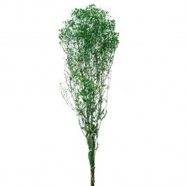 Μπουκέτο Γυψοφύλλη 91992 120gr Green GREEN