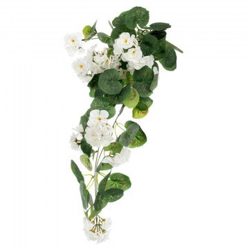 Κρεμαστή Ρίζα Μολόxα 92230 62cm White