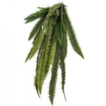 Κρεμαστή Ρίζα Φτέρη Μεγάλη 92273 128cm Green