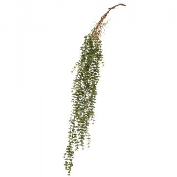 Κρεμαστή Ρίζα Ευκάλυπτος 92885 100cm Green