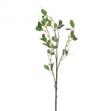 Decorative Branch Olive 86162 20x92cm Green