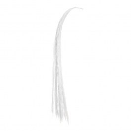 Decorative Branch Hanging Pampas x10 84704 115cm White WHITE