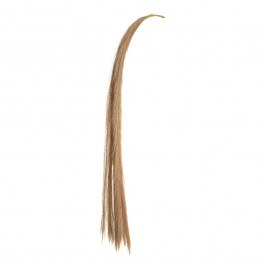 Decorative Branch Hanging Pampas x10 84705 115cm Brown BROWN