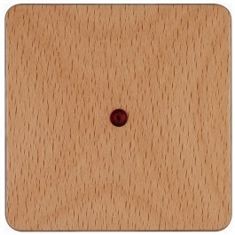 Switch Button With Light HK02 331131006 Beech Kopp BEECH
