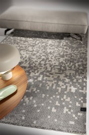 Carpet Vector Vison Guy Laroche VISON