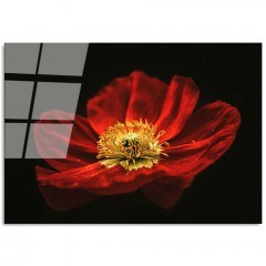 Tempered Glass Painting 123BZM1267 100x70cm Multi Wallity