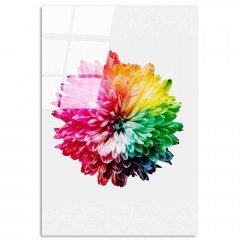 Πίνακας Γυάλινος 123BZM1265 70x100cm Multi Wallity