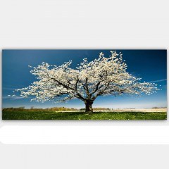 Πίνακας Καμβάς 451ERN1232 120x50cm Multi Wallity