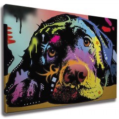 Canvas Painting 227WRZ1103 70x50cm Multi Wallity
