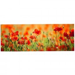 Πίνακας Καμβάς Με Φως Led 239SHN1213 90x30cm Multi Wallity