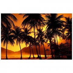 Canvas Painting With Led Light 239SHN3285 70x45cm Multi Wallity