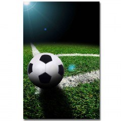 Πίνακας Καμβάς Με Φως Led 254LED4449 45x70cm Multi Wallity