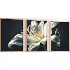 Κάδρα (Σετ 3Τμχ) 693BSE1582 50x70cm Multi Wallity