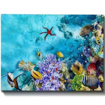 Πίνακας Καμβάς 529TCR1265 70x50cm Multi Wallity